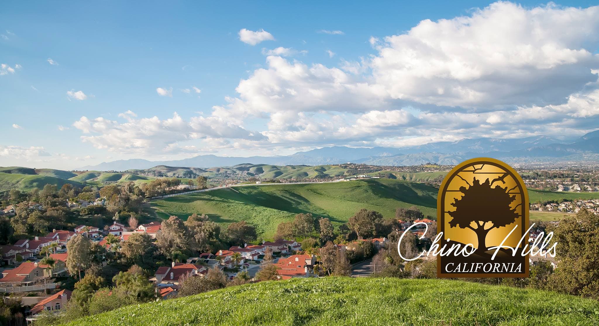 CHINO HILLS, CA security services