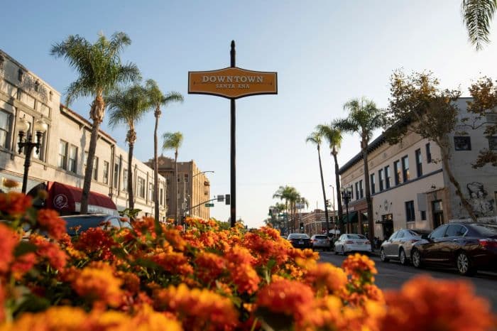 SANTA ANA, CA security services