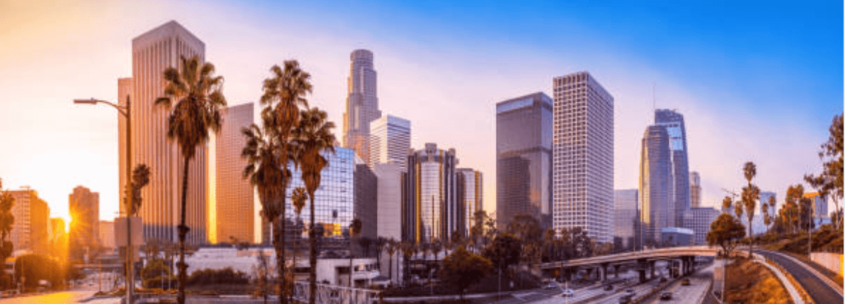 LYNWOOD, CA security services